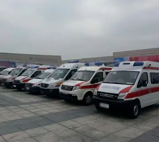 巴马服务车队展示